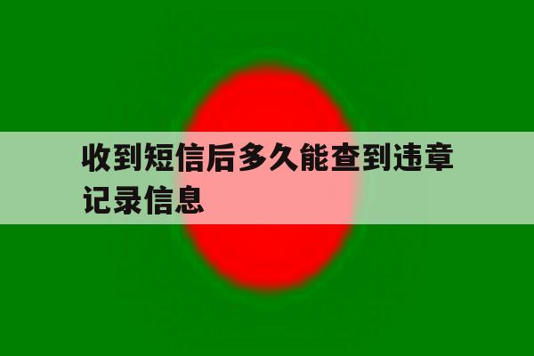 收到短信后多久能查到违章记录信息 收到短信后多久能查到违章记录信息
