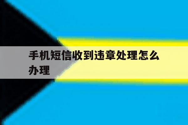 手机短信收到违章处理怎么办理 手机短信收到违章处理怎么办理