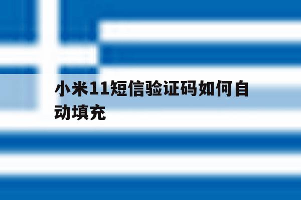 小米11短信验证码如何自动填充 小米11短信验证码如何自动填充