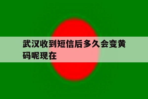 关于武汉收到短信后多久会变黄码呢现在的信息 关于武汉收到短信后多久会变黄码呢现在的信息