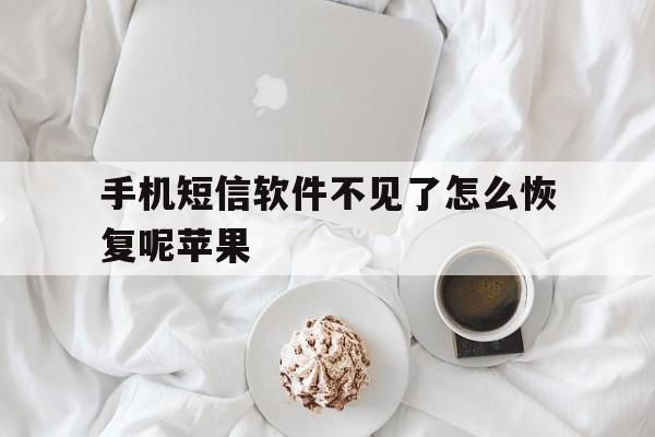 手机短信软件不见了怎么恢复呢苹果 手机短信软件不见了怎么恢复呢苹果