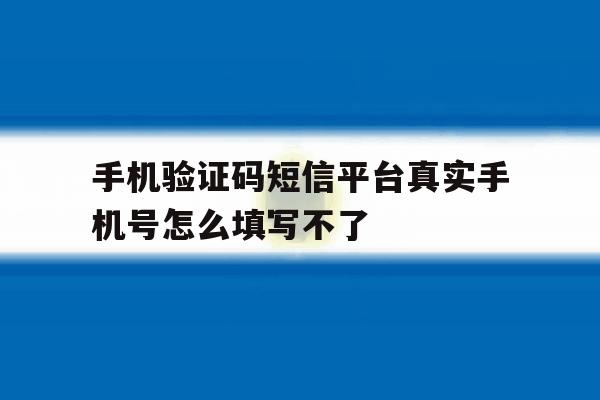 手机验证码短信平台真实手机号怎么填写不了 手机验证码短信平台真实手机号怎么填写不了