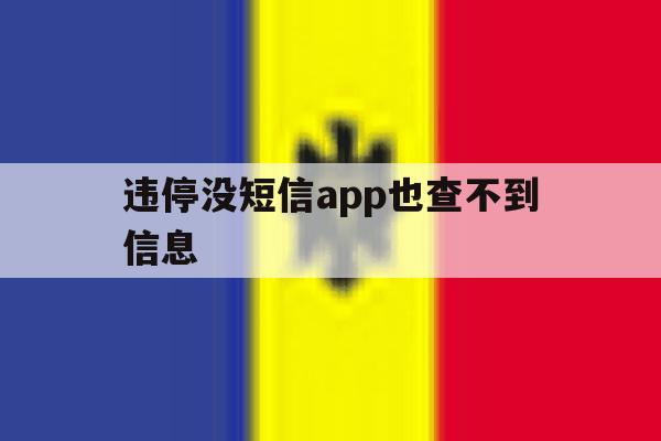 违停没短信app也查不到信息 违停没短信app也查不到信息