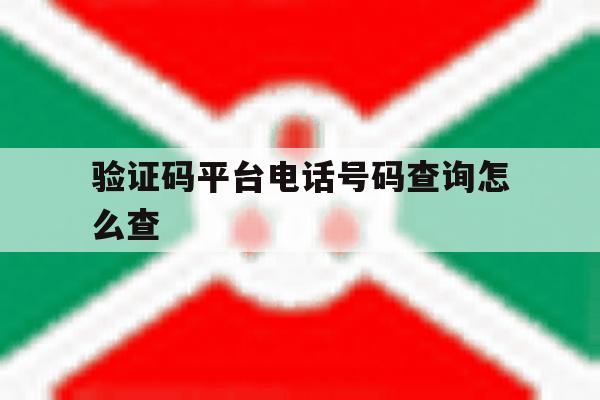 验证码平台电话号码查询怎么查 验证码平台电话号码查询怎么查