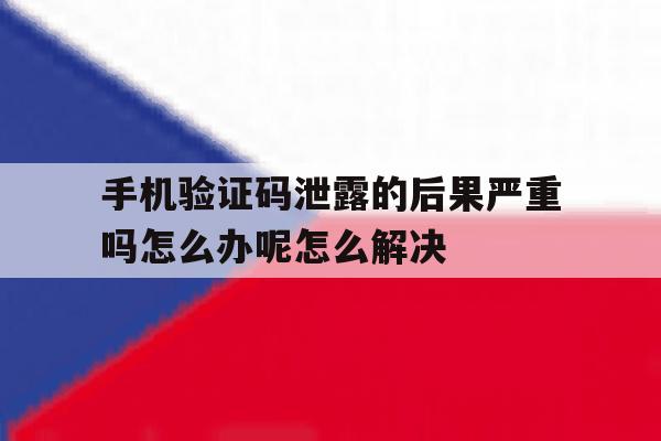 手机验证码泄露的后果严重吗怎么办呢怎么解决的简单介绍 手机验证码泄露的后果严重吗怎么办呢怎么解决的简单介绍