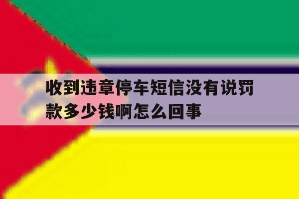 收到违章停车短信没有说罚款多少钱啊怎么回事的简单介绍 收到违章停车短信没有说罚款多少钱啊怎么回事的简单介绍
