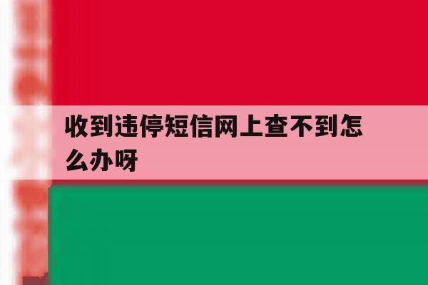 收到违停短信网上查不到怎么办呀 收到违停短信网上查不到怎么办呀