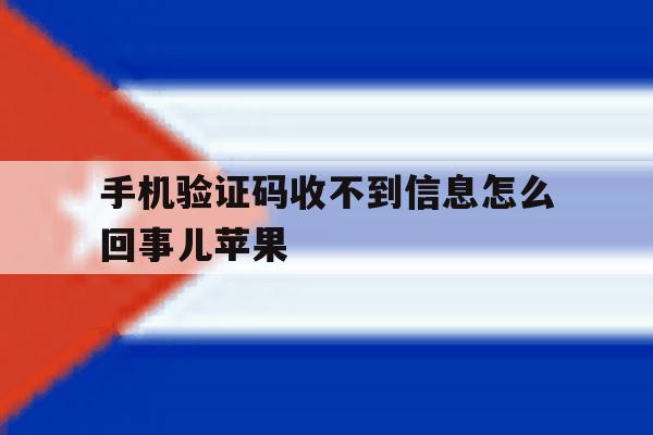 手机验证码收不到信息怎么回事儿苹果 手机验证码收不到信息怎么回事儿苹果