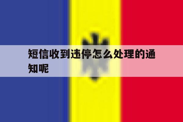 短信收到违停怎么处理的通知呢 短信收到违停怎么处理的通知呢