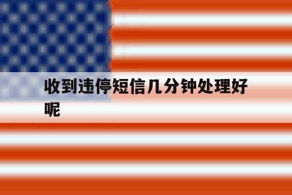 收到违停短信几分钟处理好呢 收到违停短信几分钟处理好呢