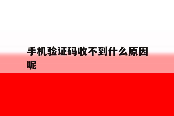 手机验证码收不到什么原因呢 手机验证码收不到什么原因呢