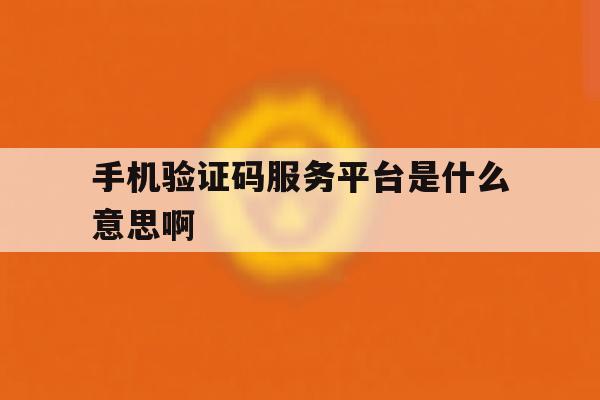 手机验证码服务平台是什么意思啊 手机验证码服务平台是什么意思啊