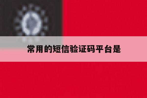 常用的短信验证码平台是 常用的短信验证码平台是