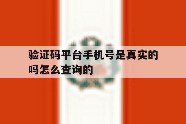 验证码平台手机号是真实的吗怎么查询的 验证码平台手机号是真实的吗怎么查询的