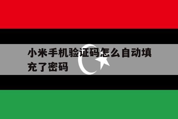 小米手机验证码怎么自动填充了密码 小米手机验证码怎么自动填充了密码