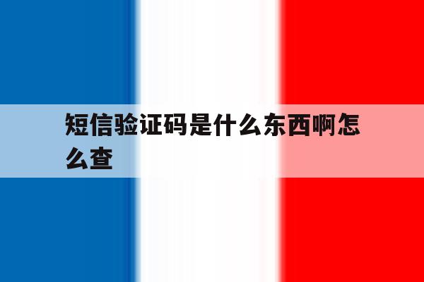 短信验证码是什么东西啊怎么查 短信验证码是什么东西啊怎么查