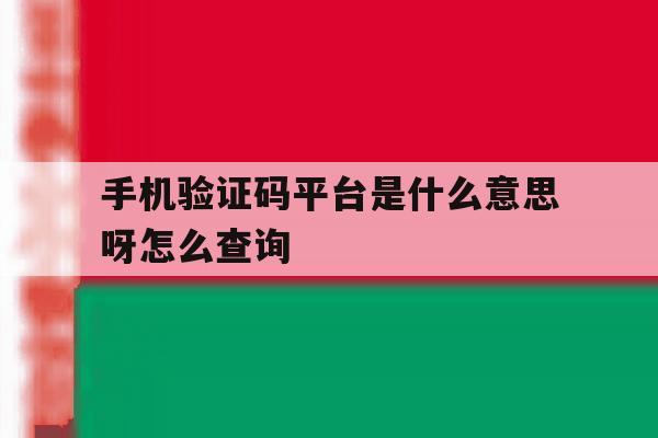 手机验证码平台是什么意思呀怎么查询 手机验证码平台是什么意思呀怎么查询