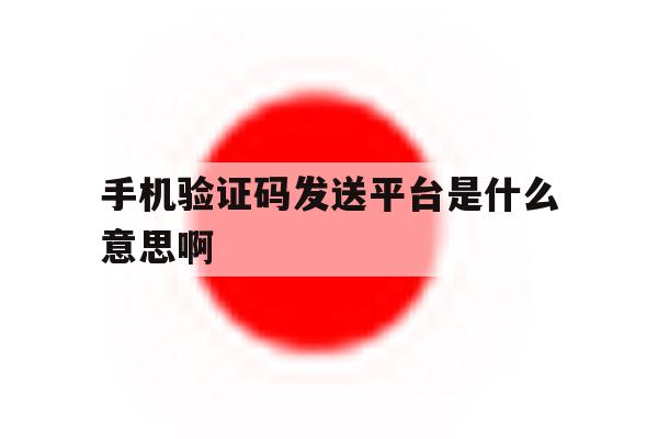 手机验证码发送平台是什么意思啊 手机验证码发送平台是什么意思啊