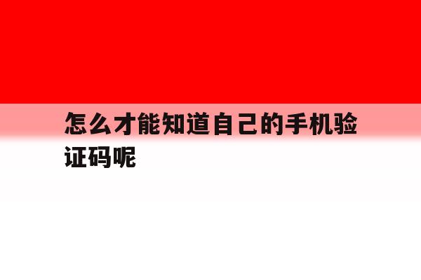 怎么才能知道自己的手机验证码呢 怎么才能知道自己的手机验证码呢