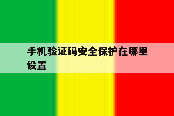 手机验证码安全保护在哪里设置 手机验证码安全保护在哪里设置