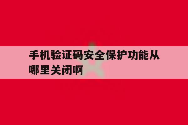 手机验证码安全保护功能从哪里关闭啊 手机验证码安全保护功能从哪里关闭啊