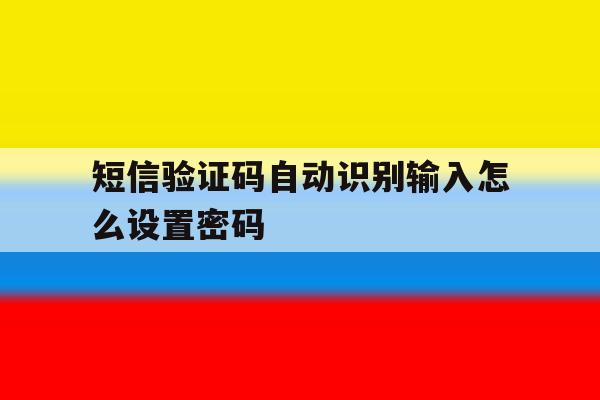 短信验证码自动识别输入怎么设置密码 短信验证码自动识别输入怎么设置密码