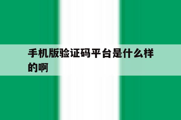 手机版验证码平台是什么样的啊 手机版验证码平台是什么样的啊